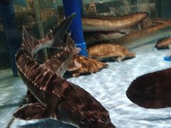 -阿伟海鲜楼·福建菜(延寿店)