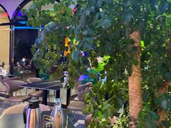 -沈胖子音乐烤吧·炒菜·龙虾(环城东路店)