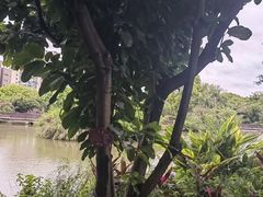 -厦门悦华酒店