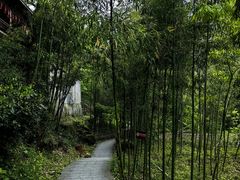 -藏龙百瀑风景区