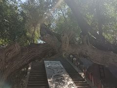 -水磨沟公园