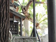 -汉庭(成都一品天下地铁站店)