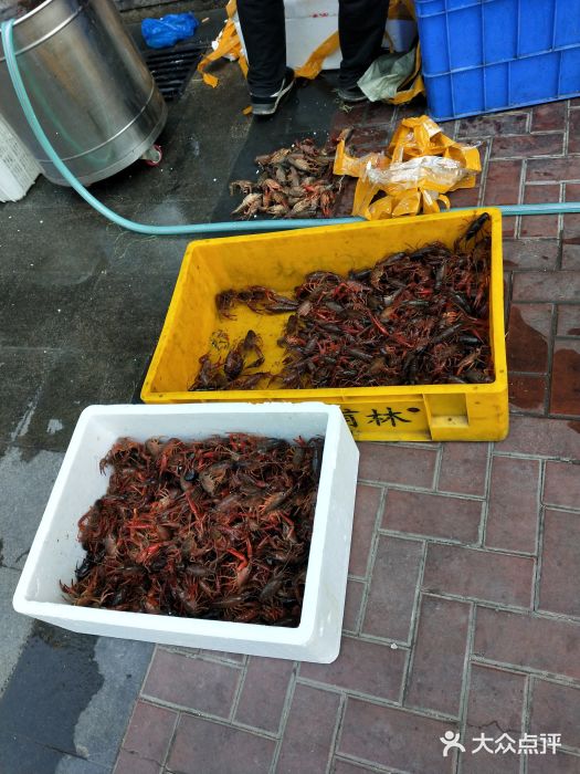 三喜龙虾(鞍山路店)图片