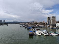 -广东惠东海龟国家级自然保护区