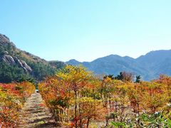 -太和山风景区
