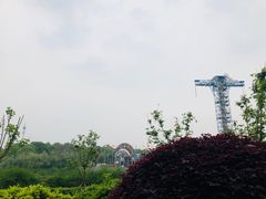 -成都欢乐谷