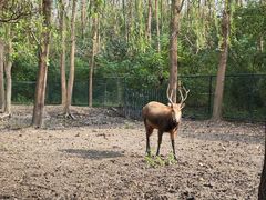 -溱湖国家湿地公园