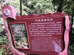 -赤水丹霞旅游区·佛光岩