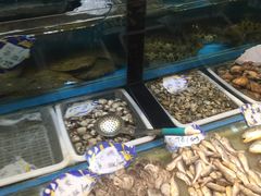 -牟传仁饭庄(星海店)