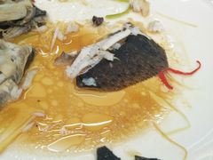 -烁佳海鲜大馅饺子