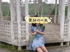 -紫颐香薰山谷景区