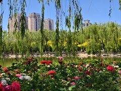 -南翠屏公园