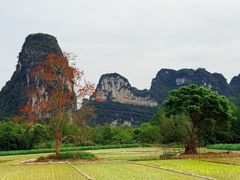 -明仕田园