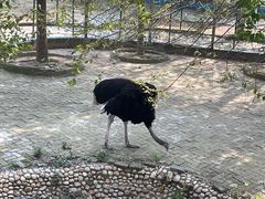 -武汉紫薇都市田园