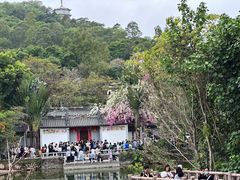 -深圳国际园林花卉博览园