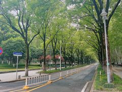 -后襄河公园