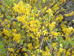 外景-北京拉斐特城堡酒店