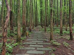 -山王坪喀斯特国家生态公园