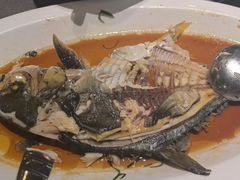 -海鲜e族(马王堆店)