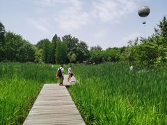 -西溪国家湿地公园