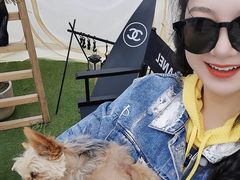 -安德鲁户外烧烤帐篷营地(马泉营店)