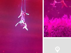 -济南方特东方神画