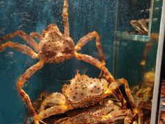 -蟹田居·活蟹料理(东城店)