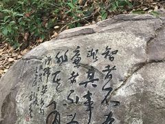 -子昂故里文化旅游区