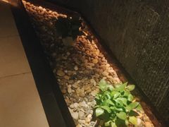 -泰之源足浴会所(玉环店)
