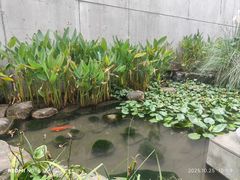 -中国湿地博物馆