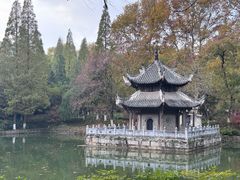 -习家池