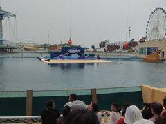 -秦皇岛乐岛海洋王国