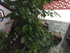 -十三行国医馆