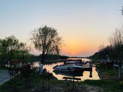 -合肥滨湖国家森林公园