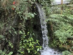 -南山植物园