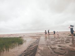 -南汇嘴观海公园