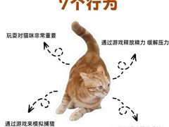 -爱侣宠医·鹦鹉专科·小型哺乳类·异宠专科(灵石路店)