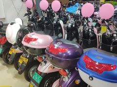 -新日电动车(五里亭店)
