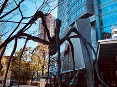 -六本木新城展望台(东京城市景观)
