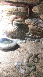 -七巧国萌宠乐园(龙湖天街店)