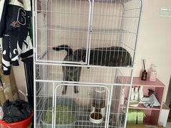 -奶油猫DIY·手工·团建·美陈搭建(宝山万达店)