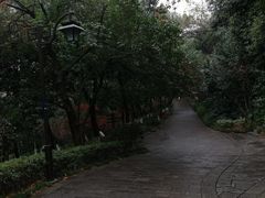 -杭州半山国家森林公园