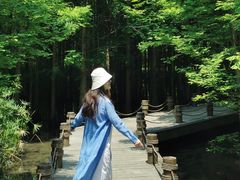 -桤木河湿地公园