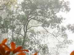 -南山植物园