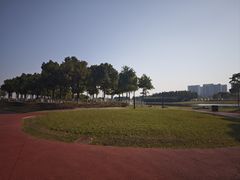 -春花秋色城市公园