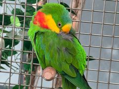 -南宫五洲植物乐园