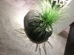-朴境采耳·足道按摩(科学大道旗舰店)