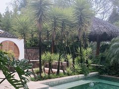 -昆明柏联SPA温泉