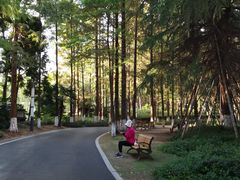 -苏州河梦清园环保主题公园