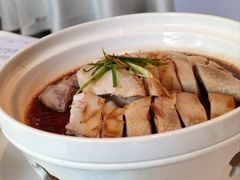 姜葱白切鸡-山东老家(科韵分店)